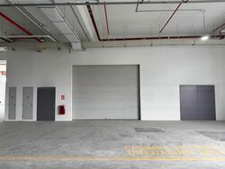 Ct Foodnex (D25), Factory #472254371